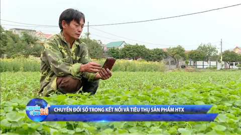 Tự động h&oacute;a - Động lực th&uacute;c đẩy chuyển đổi số