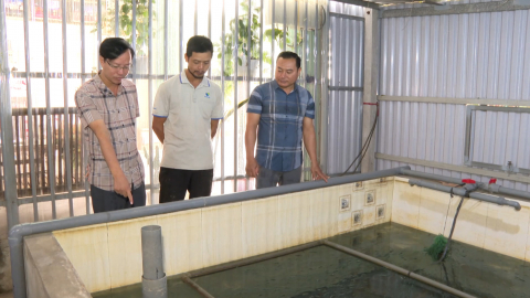 Nh&acirc;n rộng m&ocirc; h&igrave;nh nu&ocirc;i lươn kh&ocirc;ng b&ugrave;n