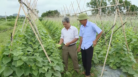 C&aacute;c cấp Hội n&ocirc;ng d&acirc;n Tỉnh thực hiện chủ đề c&ocirc;ng t&aacute;c năm