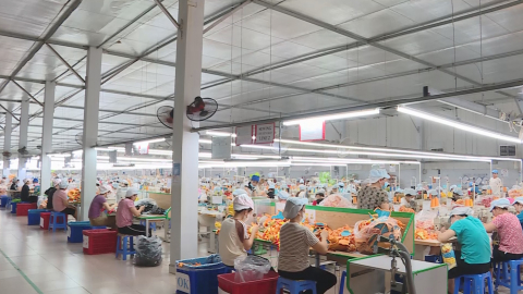 Cải thiện điều kiện l&agrave;m việc cho người lao động