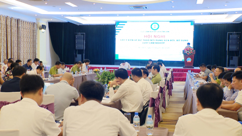 Lấy &yacute; kiến về dự thảo sửa đổi, bổ sung Luật L&acirc;m nghiệp
