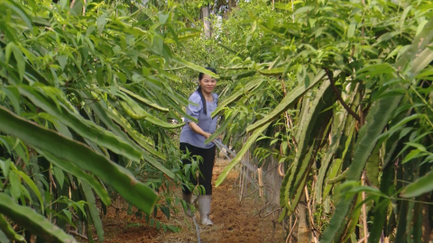 Phụ nữ với phong tr&agrave;o d&acirc;n vận kh&eacute;o