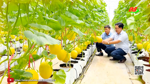 Đẩy mạnh sản xuất n&ocirc;ng nghiệp hữu cơ
