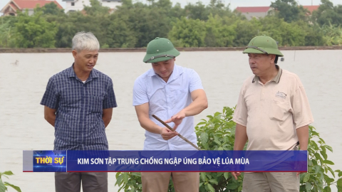 Kim Sơn tập trung chống ngập &uacute;ng bảo vệ l&uacute;a m&ugrave;a