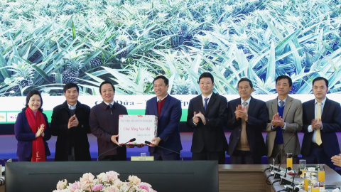 Đồng ch&iacute; Ph&oacute; B&iacute; thư Tỉnh ủy, Chủ tịch UBND Tỉnh kiểm tra, động vi&ecirc;n sản xuất đầu xu&acirc;n Qu&yacute; M&atilde;o