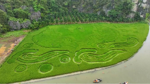 Tạo điểm nhấn cho Tuần Du lịch Ninh B&igrave;nh 2025