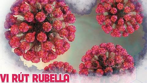 C&aacute;ch ph&ograve;ng chống b&ecirc;nh Rubella