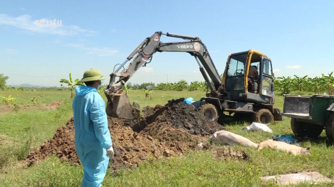 Triển khai c&ocirc;ng t&aacute;c ph&ograve;ng, chống dịch bệnh động vật năm 2022