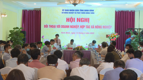 Sở NN&PTNT đối thoại với doanh nghiệp, HTX n&ocirc;ng nghiệp