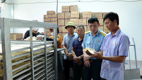 Hiệu quả phong tr&agrave;o thi đua "Cựu chiến binh gương mẫu" ở Nho Quan