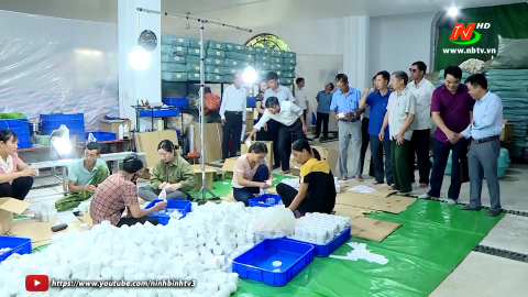 Hỗ trợ hợp t&aacute;c x&atilde; ph&aacute;t triển theo chuỗi gi&aacute; trị