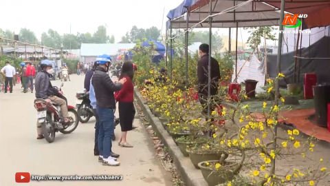 Chợ hoa xu&acirc;n ng&agrave;y gi&aacute;p tết  