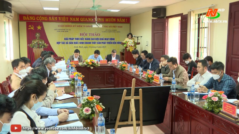 Hội thảo giải ph&aacute;p th&uacute;c đẩy, n&acirc;ng cao hiệu quả hoạt động của c&aacute;c HTX thủy sản