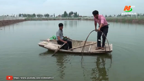 Chăm s&oacute;c thủy sản nước lợ m&ugrave;a mưa