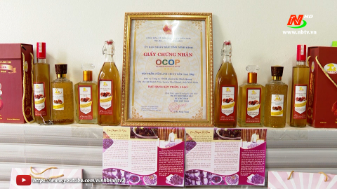 Y&ecirc;n Kh&aacute;nh hỗ trợ x&acirc;y dựng sản phẩm OCOP