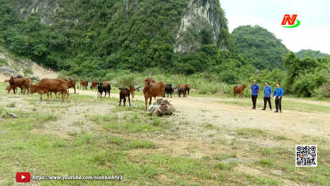 L&agrave;m gi&agrave;u tr&ecirc;n v&ugrave;ng đất kh&oacute;