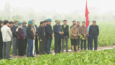 Đồng ch&iacute; Ph&oacute; B&iacute; thư Thường trực Tỉnh ủy thăm, kiểm tra, động vi&ecirc;n sản xuất đầu xu&acirc;n Ất Tỵ 2025