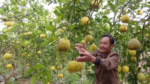 Tập trung quy hoạch, ph&aacute;t triển n&ocirc;ng nghiệp sạch, c&ocirc;ng nghệ cao