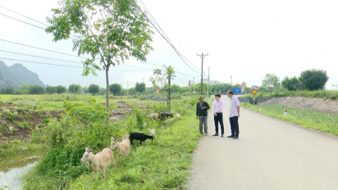 Hoa Lư thực hiện di ch&uacute;c của B&aacute;c về chăm lo đời sống nh&acirc;n d&acirc;n