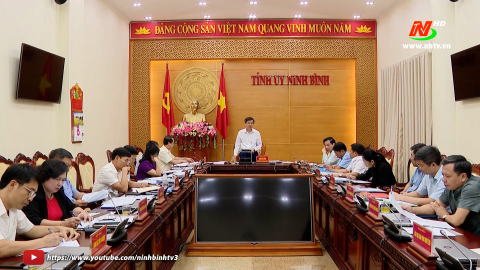 Hội nghị Ban Thường vụ Tỉnh ủy ng&agrave;y 08/9/2023