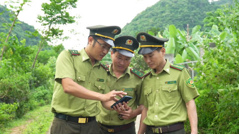 Hạt kiểm l&acirc;m Nho Quan ứng dụng c&ocirc;ng nghệ số trong bảo vệ rừng