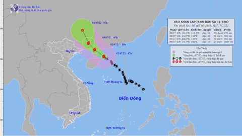 Chủ động, kịp thời ứng ph&oacute; với cơn b&atilde;o số 1