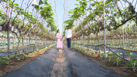 N&ocirc;ng d&acirc;n chuyển đổi số - Cơ hội v&agrave; th&aacute;ch thức