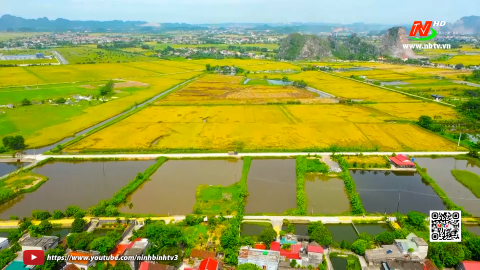Y&ecirc;n L&acirc;m n&acirc;ng cao thu nhập cho người d&acirc;n