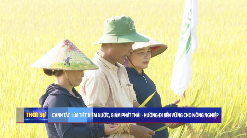 Canh t&aacute;c tiết kiệm nước, giảm ph&aacute;t thải - Hướng đi bền vững cho n&ocirc;ng nghiệp