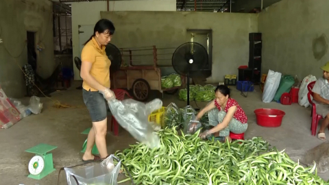 Y&ecirc;n Kh&aacute;nh c&oacute; 26 sản phẩm đạt chuẩn OCOP