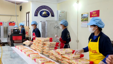 Ph&aacute;t triển OCOP hướng tới n&acirc;ng tầm sản phẩm n&ocirc;ng th&ocirc;n