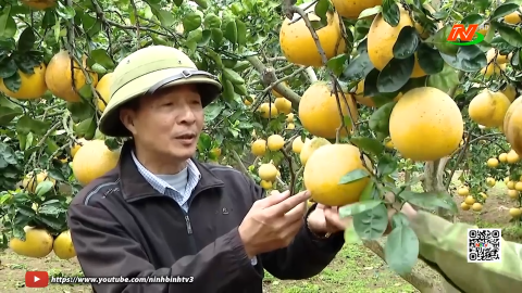Ước vọng đầu xu&acirc;n của người n&ocirc;ng d&acirc;n