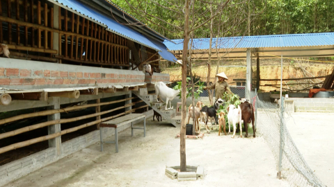 Nho Quan tập trung n&acirc;ng cao gi&aacute; trị sản xuất n&ocirc;ng nghiệp