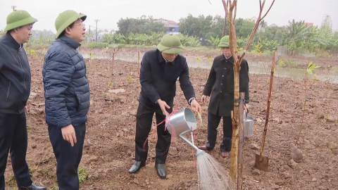 Ban Quản l&yacute; Khu C&ocirc;ng nghiệp tỉnh ph&aacute;t động Tết trồng c&acirc;y