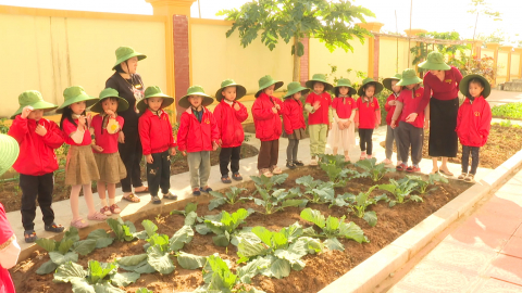 Nh&acirc;n rộng m&ocirc; h&igrave;nh " Vườn rau của b&eacute; " trong c&aacute;c trường mầm non