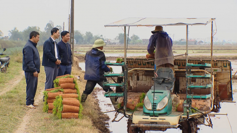 N&ocirc;ng d&acirc;n Y&ecirc;n Kh&aacute;nh xuống đồng đầu xu&acirc;n