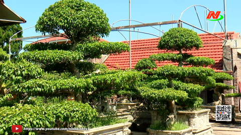 Xu&acirc;n Giang quan t&acirc;m ph&aacute;t triển c&aacute;c sản phẩm chủ lực