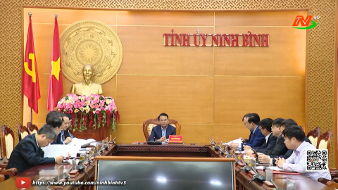 Hội nghị Thường trực Tỉnh ủy, Thường trực BCĐ bầu cử tỉnh cho &yacute; kiến về c&ocirc;ng t&aacute;c chuẩn bị bầu cử