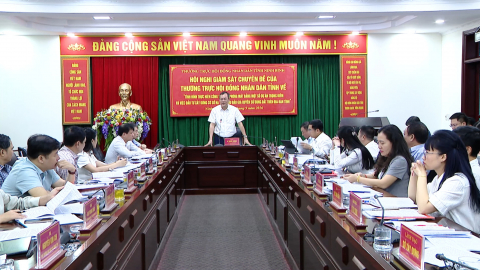 Thường trực HĐND tỉnh gi&aacute;m s&aacute;t chuy&ecirc;n đề