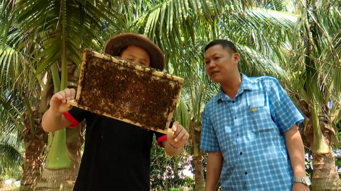 Điển h&igrave;nh trong phong tr&agrave;o thi đua n&ocirc;ng d&acirc;n sản xuất, kinh doanh giỏi