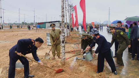 Trồng c&acirc;y theo lời B&aacute;c Hồ dạy