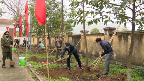 Ng&agrave;nh n&ocirc;ng nghiệp Ninh B&igrave;nh hưởng ứng chương tr&igrave;nh trồng c&acirc;y đầu xu&acirc;n