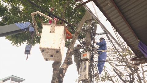 Điện lực Ninh B&igrave;nh chỉnh trang hệ thống lưới điện
