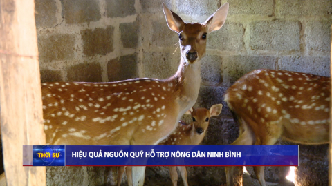 Hiệu quả nguồn Quỹ hỗ trợ N&ocirc;ng d&acirc;n Ninh B&igrave;nh
