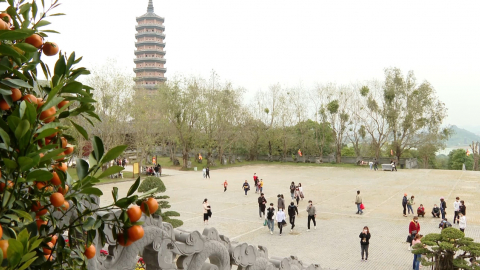 Ninh B&igrave;nh đ&oacute;n hơn 135.000 lượt kh&aacute;ch du xu&acirc;n