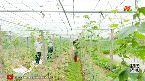 Kh&aacute;nh Th&agrave;nh ph&aacute;t triển c&aacute;c c&acirc;y trồng chủ lực