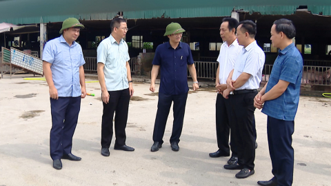 Tăng cường quản l&yacute;, kiểm so&aacute;t hoạt động kinh doanh, giết mổ gia s&uacute;c gia cầm