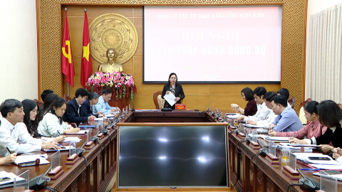 Hội nghị Ban Chấp h&agrave;nh Đảng bộ c&aacute;c cơ quan Đảng tỉnh