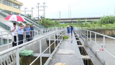 Bảo vệ l&uacute;a m&ugrave;a trước nguy cơ ngập &uacute;ng