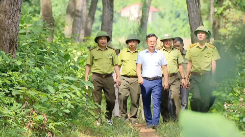 Ninh B&igrave;nh chủ động ph&ograve;ng, chống ch&aacute;y rừng
